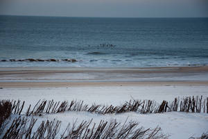 Die Wellen am Meer
